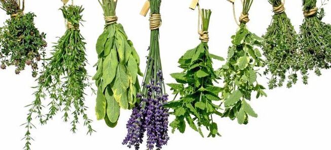 Herbs to increase male potency
